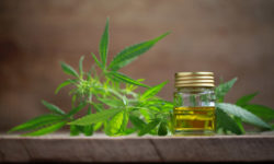 Does CBD Oil Really Have Mental Health Benefits?