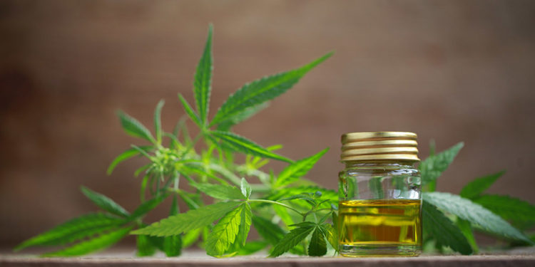 Does CBD Oil Really Have Mental Health Benefits?