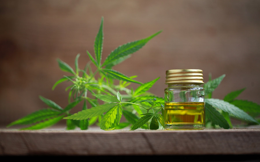 Does CBD Oil Really Have Mental Health Benefits?